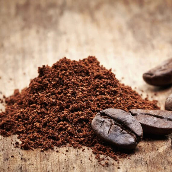 Ethiopian Coffee, The Jebena Studio Blend - 8 oz