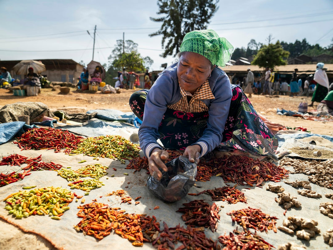 Bokolo (በቆሎ): Corn, Roasted & Beloved