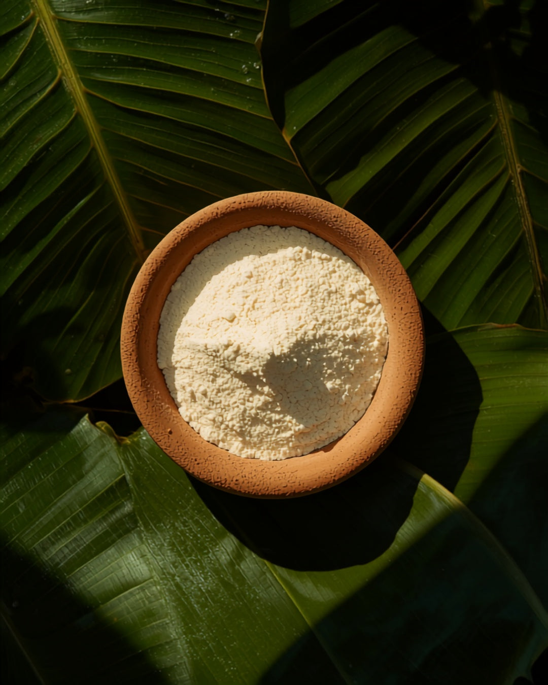Bula Ethiopian Ancient Comfort Food with banana leaves by Balè Moya