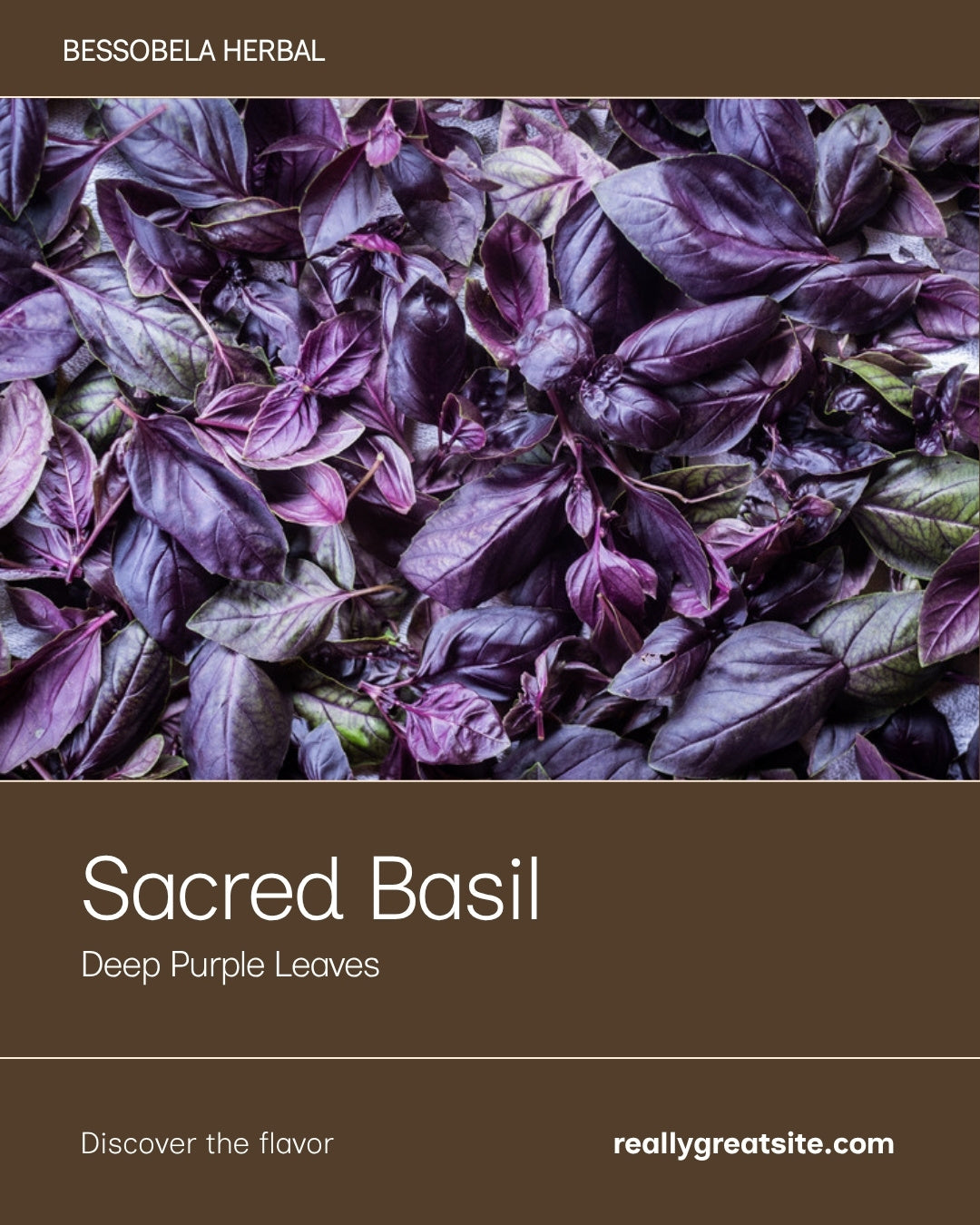 Bessobela Sacred Basil by Balè Moya