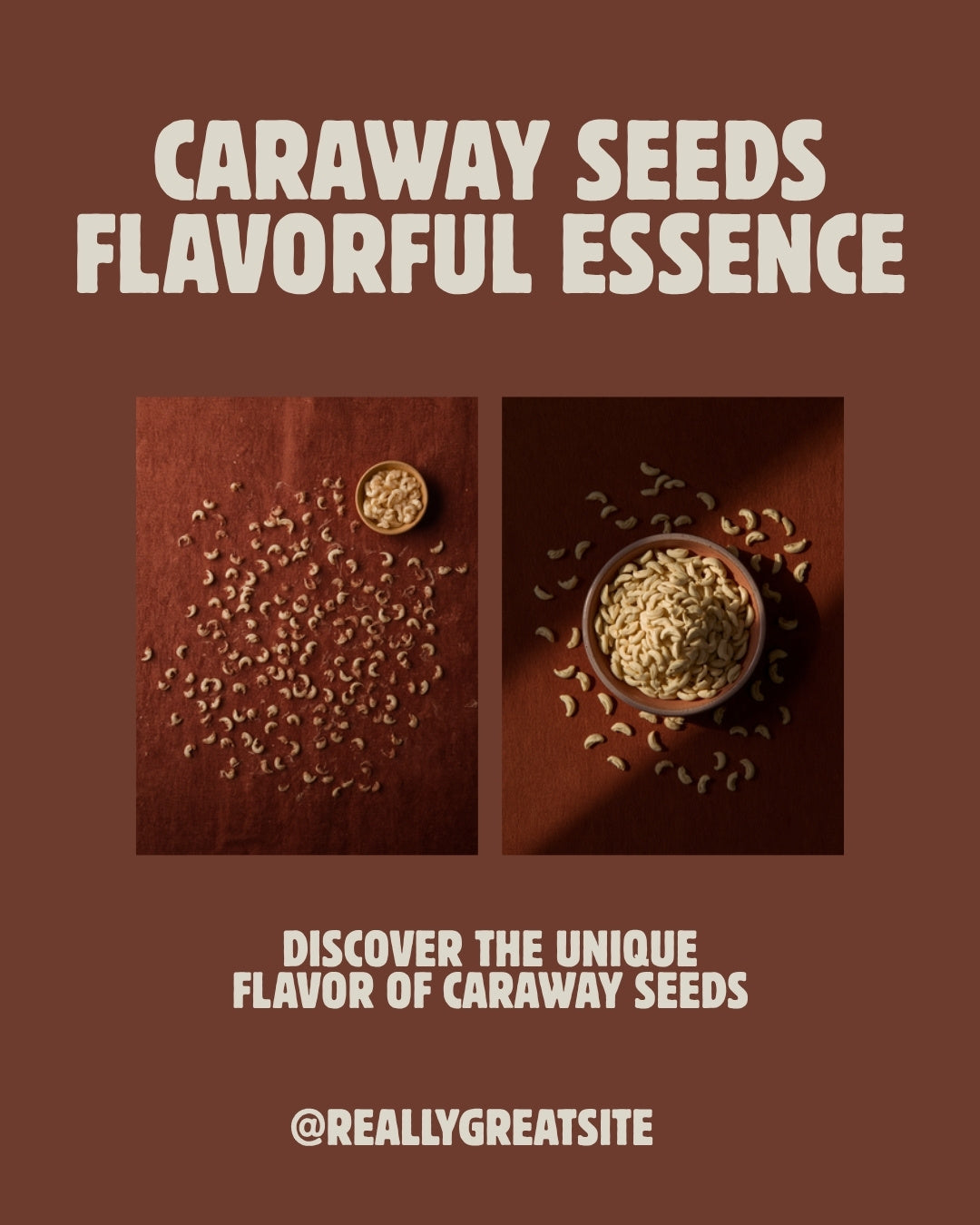 Netch Azmud Caraway Seed by Balè Moya